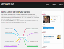 Tablet Screenshot of antonindelfino.com